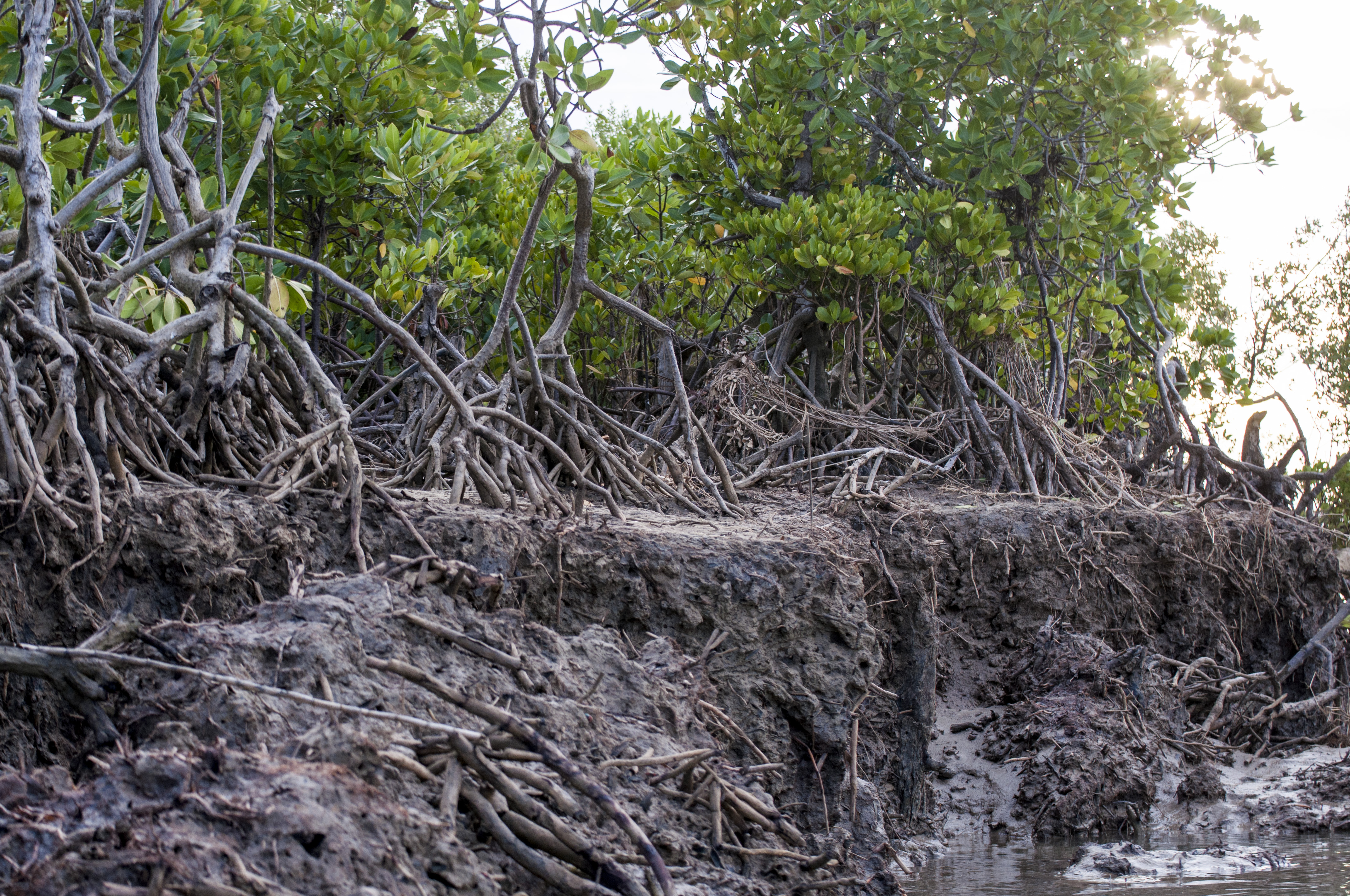 Madagascar (Louvain Coopération)